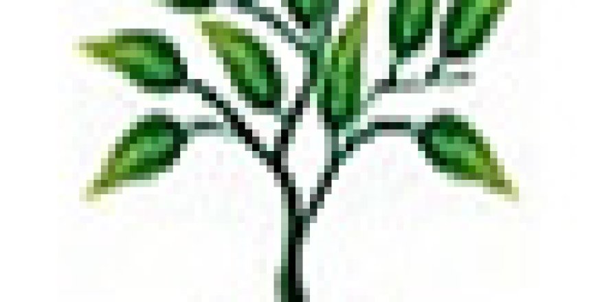 ESAME EGE ON-LINE (Norma UNI 11339)
